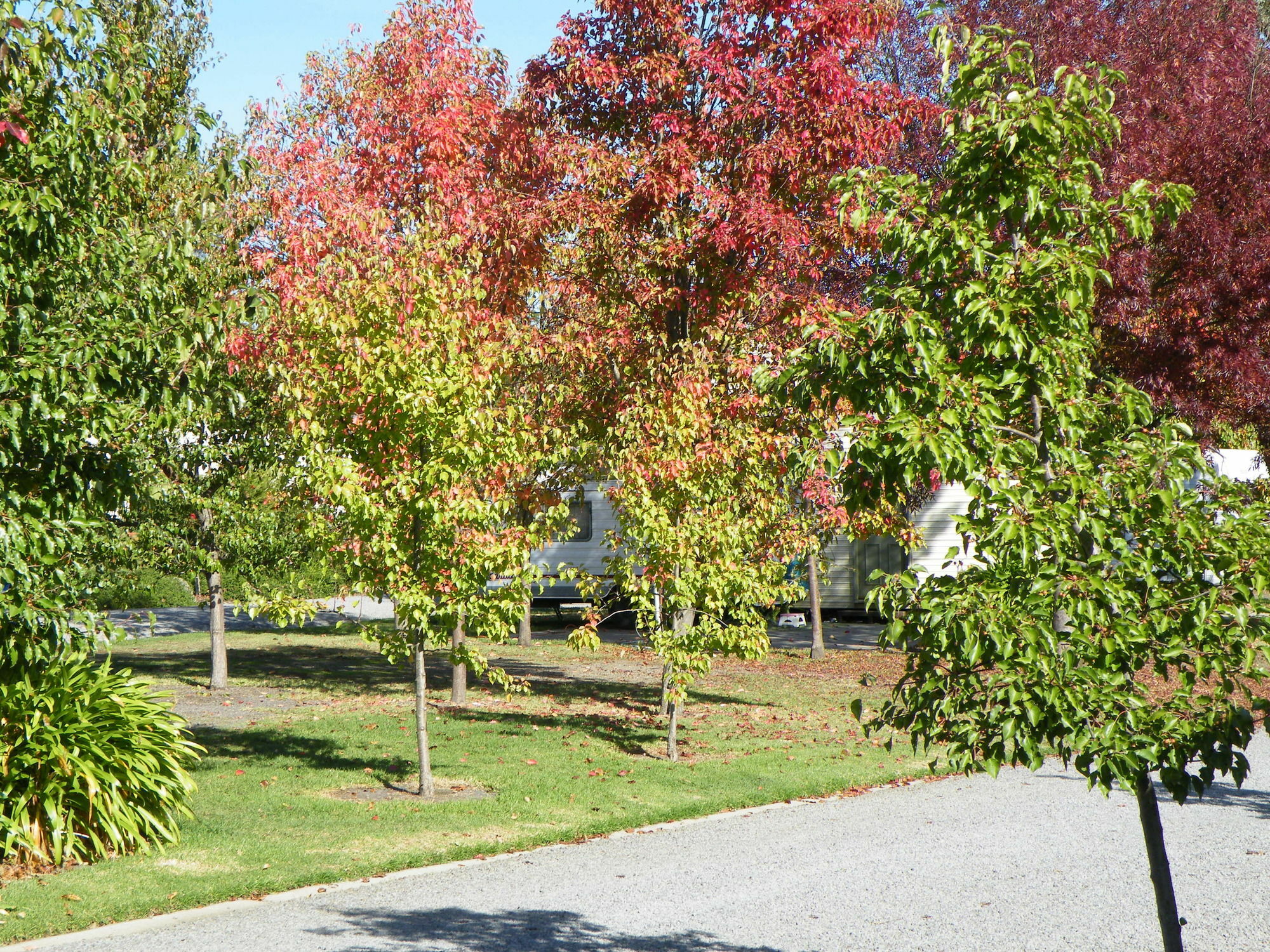 Lake Hamilton Motor Village And Caravan Park Zewnętrze zdjęcie